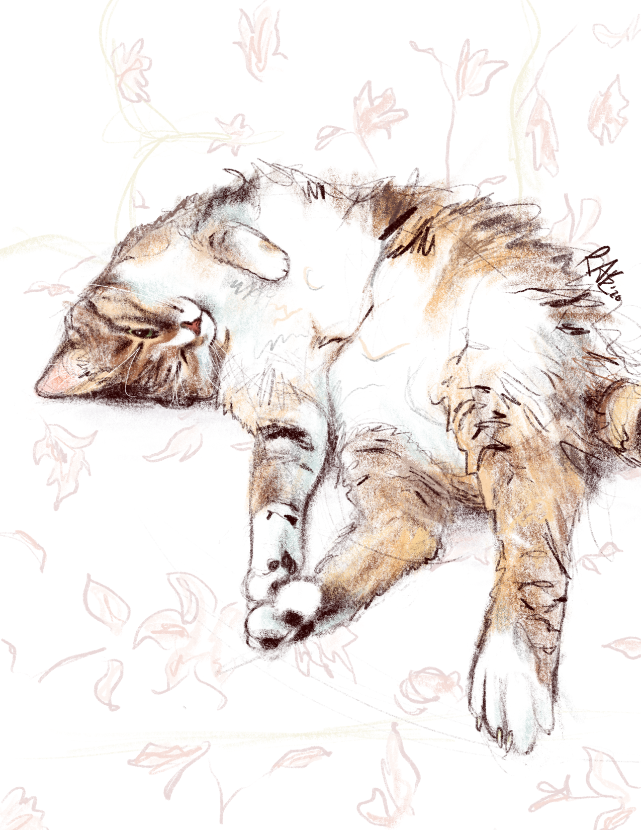 Kitty Portrait.PNG